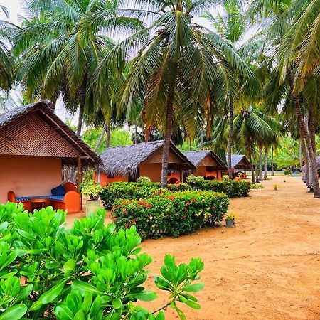 Roshanne Beach Resort Kalpitiya Esterno foto