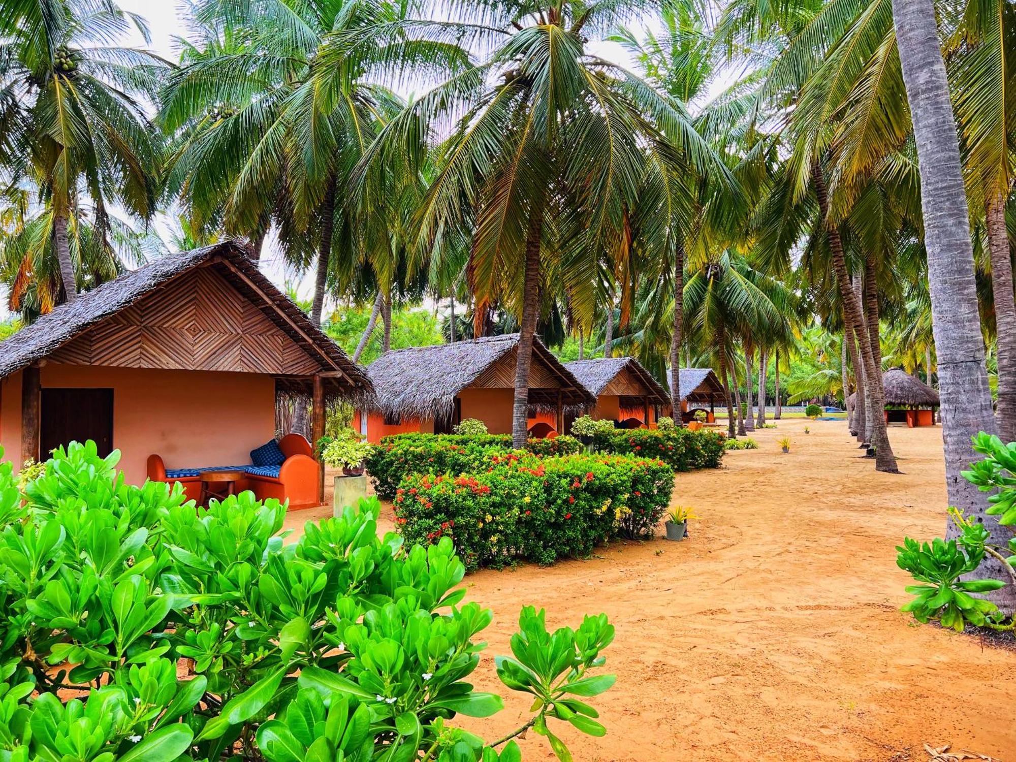 Roshanne Beach Resort Kalpitiya Esterno foto