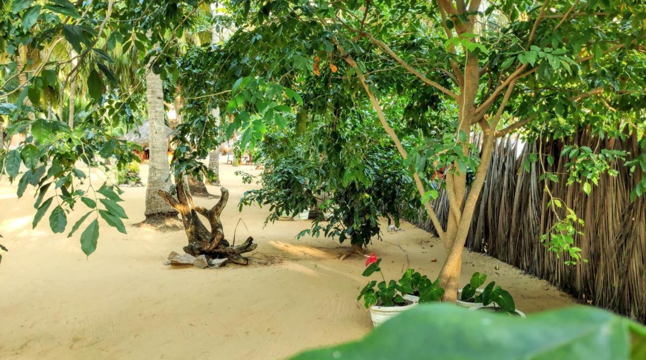 Roshanne Beach Resort Kalpitiya Esterno foto