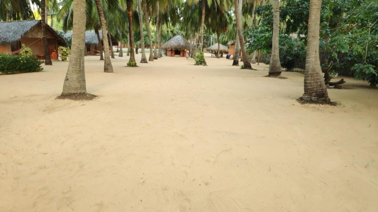 Roshanne Beach Resort Kalpitiya Esterno foto