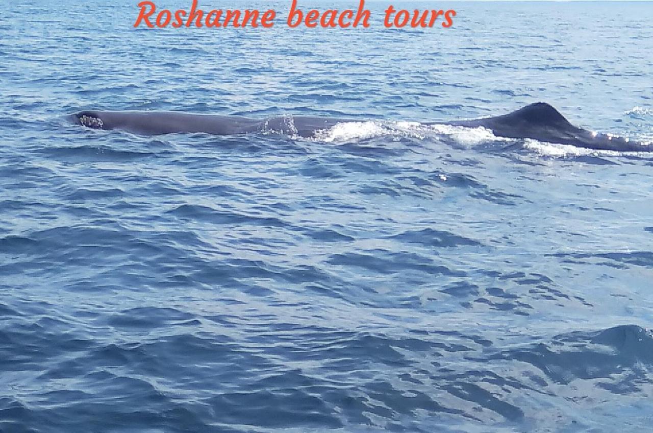 Roshanne Beach Resort Kalpitiya Esterno foto